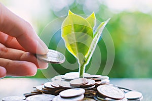 Hand saving a coin to plant growing from piles of money on blurred green natural background
