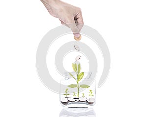 Hand saving money concept,business hand putting money coin stack growing tree on piggy bank.