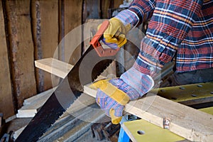 Hand saw cutting boards