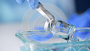 Hand of scientist doctor use plier or tweezer holding ampoule bottle to clean in blue alcohol on glassware at hospital lab.