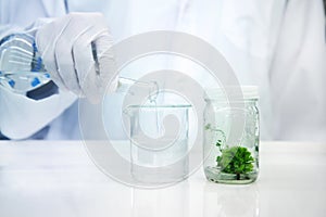 Hand of scientist with glove pouring water in to the beaker with