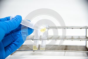 Hand scientist testing in laboratory