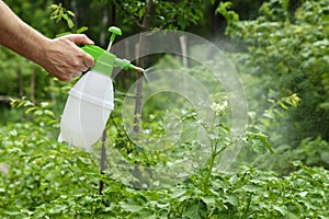 The hand and the scraper are close-up. Spraying plants in the garden and vegetable garden with a protective spray. Protection of