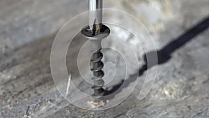 Hand Screwdriver drives the screw into the wood. close up view macro closeup