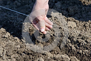 A hand seeds sows to the ground