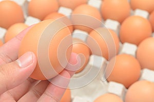 Hand select egg in carton