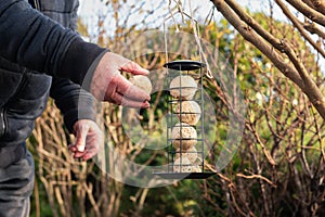 The hand of a senior man holding a suet, fat ball which is food for wild birds.