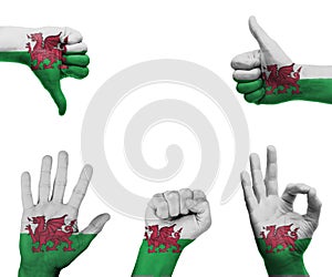 Hand set with the flag of Wales