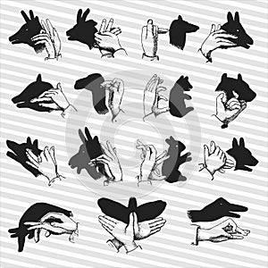 Hand shadow animal puppets illustrations