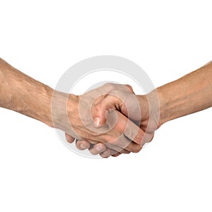 Hand shake on white photo