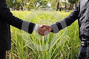 Hand shaking agreement of businessman and agriculture on rice