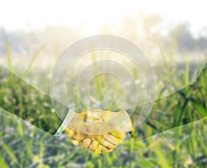 hand shaking agreement of businessman and agriculture on rice field