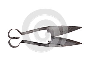 Hand shears photo