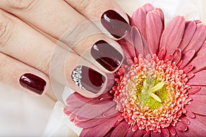 Hand with short manicured nails colored with dark purple nail polish