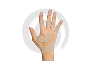 Hand showing the five fingers