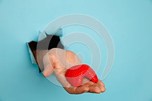 Hand showing a thyroid out of a hole torn in blue paper wall. Health care, pharmaceutics and medicine advertisement