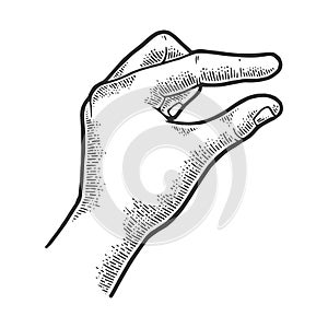 Hand showing tiny small size sketch vector photo