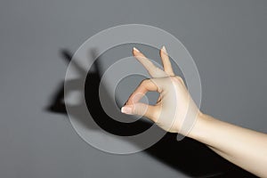 The hand shows a shadow rabbit