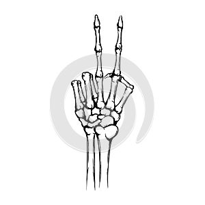 Hand of the skeleton with raised up forefinger and middle finger. Peace gesture or symbol. Hand drawn human hand