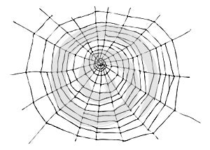 Hand sketch spider web