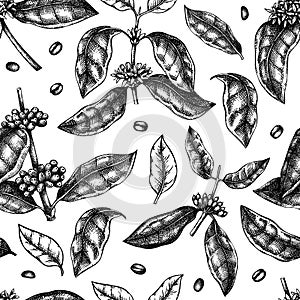 Hand sketched coffee plant seamless pattern. Vector background with hand drawn leaves, flowers, beans and fruits illustrations.