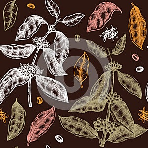 Hand sketched coffee plant seamless pattern. Vector background with hand drawn leaves, flowers, beans and fruits illustrations.