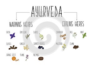 De elementos de ayurvédico pimienta en nuestro La cocina. calentando a enfriamiento hierbas a recargos 