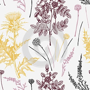 Hand sketched floral background. Vintage summer florals drawing seamless pattern. Traditional plant of Scotland. Botanical