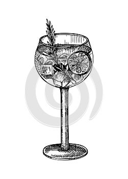 Hand-sketched Gin and tonic cocktail illustration. Vector sketch of alcoholic drink in elegant glass. Highball cocktail hand-