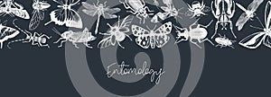 Hand-sketched insect banner template. Hand drawn beetles, bugs, butterflies, dragonfly, cicada, moths, bee illustrations in