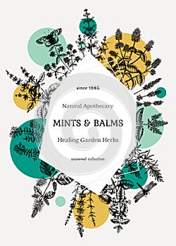 Hand-sketched Mints and Balms trendy design. Mints plants and insects illustration in collage style. Medicinal herbs and summer