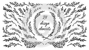 Hand sketched vector vintage elements laurels, frames, leaves,