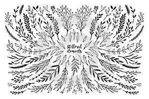 Hand sketched vector vintage elements laurels, frames, leaves,