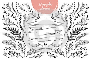 Hand sketched vector vintage elements laurels, frames, leaves,