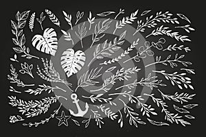 Hand sketched vector vintage elements laurels, leaves, flowers