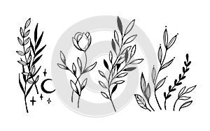 Hand sketched vector vintage elements laurels, leaves, flowers