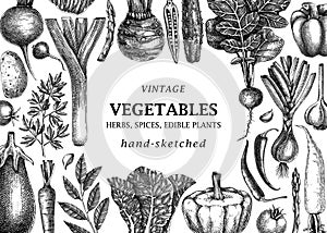 Hand-sketched Vegetable vintage frame. Hand-drawn tomatoes, squashes, peppers, potatoes, asparagus and other vegetables drawings.