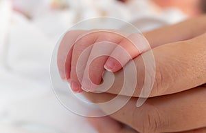 Hand of sleeping new born infant baby in the hand of mother close up on the bed