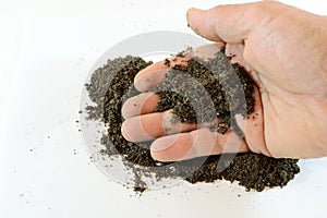 Hand with soil photo
