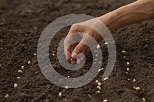 Hand sowing a seed on health soil