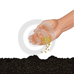 Hand sowing seeds photo