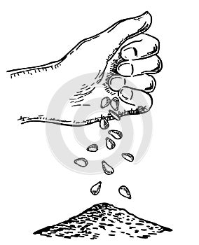 Hand sowing seeds. Vector sketch illustration with hand putting seed to ground. Process of seeding in sketch style