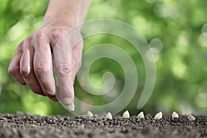 hand sowing seeds in the vegetable garden soil, close up on green background