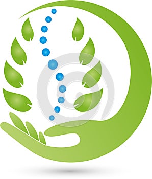Hand and spine, orthopaedist and naturopathic practitioner logo photo