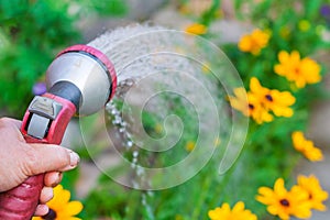 A hand with spray gun, watering a yellow flowers