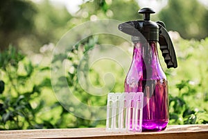 Hand sprayer on the wooden background in the garden