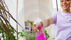 Hand spraying houseplant with water at home