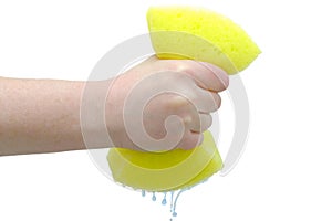 Hand squeezing drip out of sponge