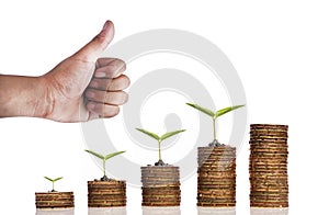 Hand with stack golden coin over white background