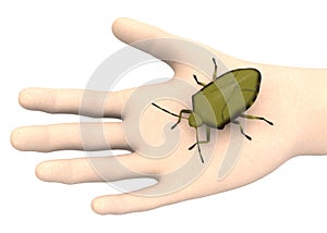 Hand with sting bug